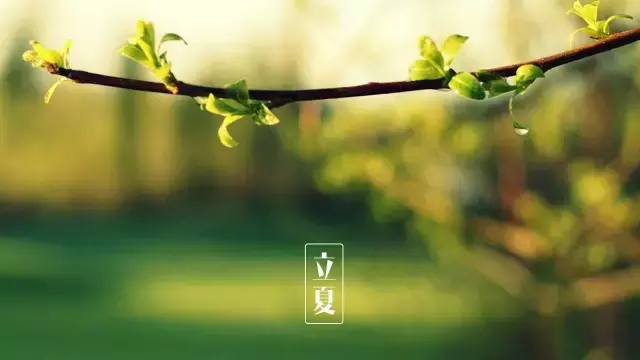立夏时节的诗句有什么（描写立夏的古诗名句欣赏）