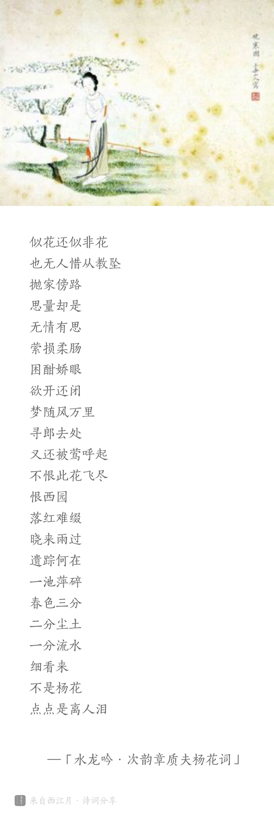 水龙吟原文（水龙吟翻译及赏析）