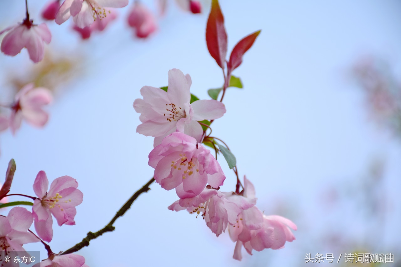 上有天堂下有苏杭全诗（古人赞美杭州的诗句）