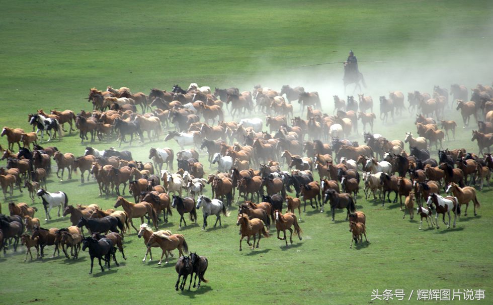 鞍前马后什么意思（鞍前马后意思解释）