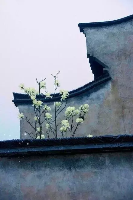 凄美的诗句有什么（意境美到极致的古诗词）
