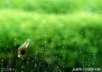 羁旅思乡诗有哪些（著名的羁旅诗鉴赏）