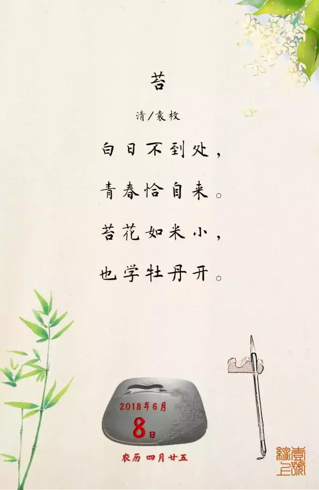 苔花如米小也学牡丹开（苔所表达的人生哲理）