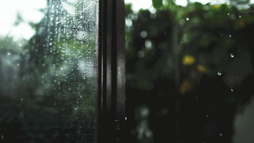 关于雨的现代诗有哪些（描写雨的现代诗唯美欣赏）
