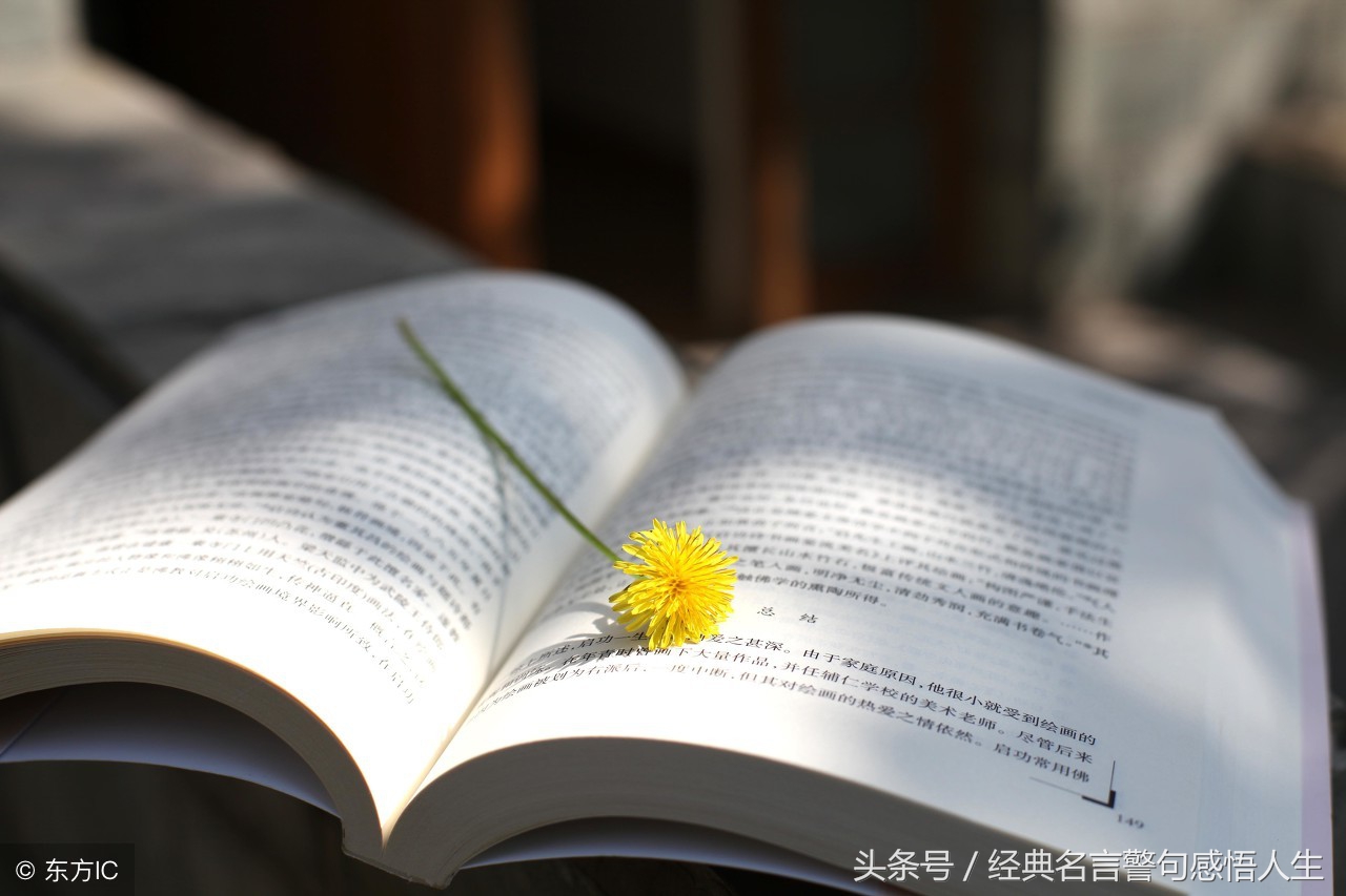 黑发不知勤学早（古诗劝学颜真卿）