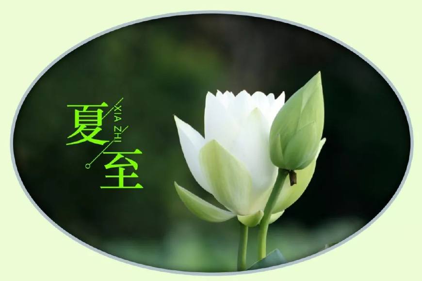 夏至的诗句古诗大全（描写夏至的唯美短句）