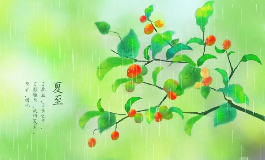 夏至的诗句古诗大全（描写夏至的唯美短句）