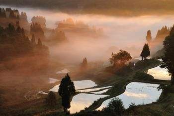 描写乡村景色的诗句（乡村气息的优美句子）