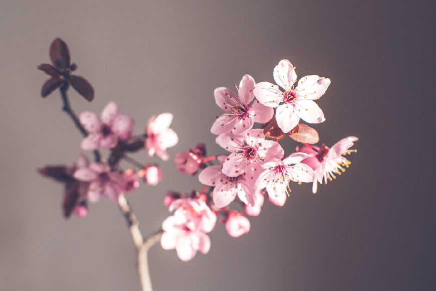 花前月下是什么意思（花前月下的诗句原文及赏析）