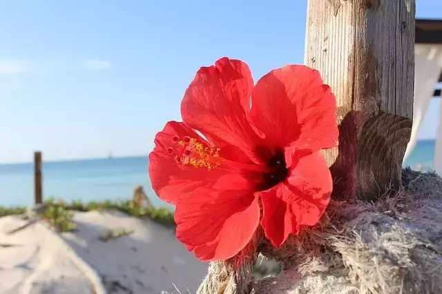 母亲河的诗歌有哪些（有关母亲河的诗歌和文章）