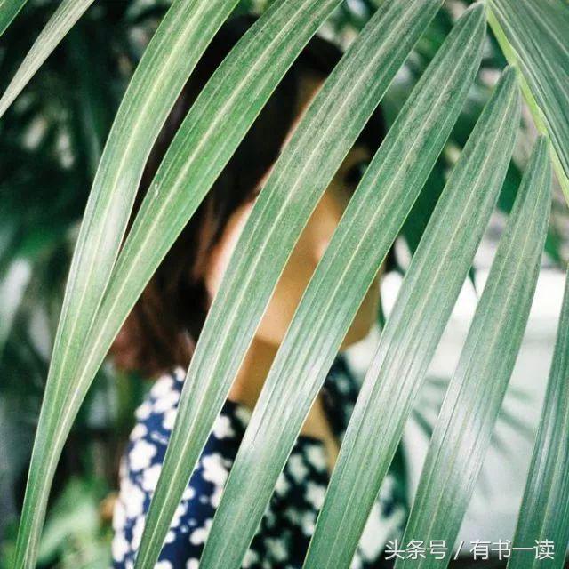 舒婷的诗有哪些（舒婷经典诗歌鉴赏）