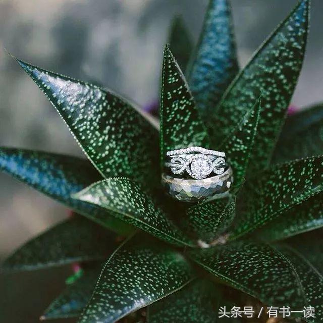 舒婷的诗有哪些（舒婷的爱国诗歌欣赏）