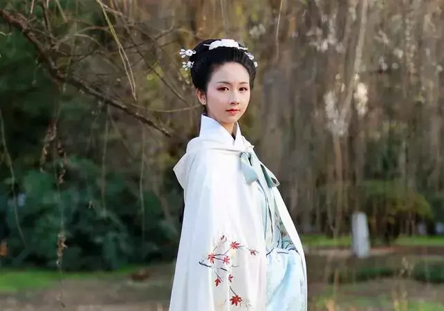 乐府诗歌有哪些（汉乐府最著名的诗原文）