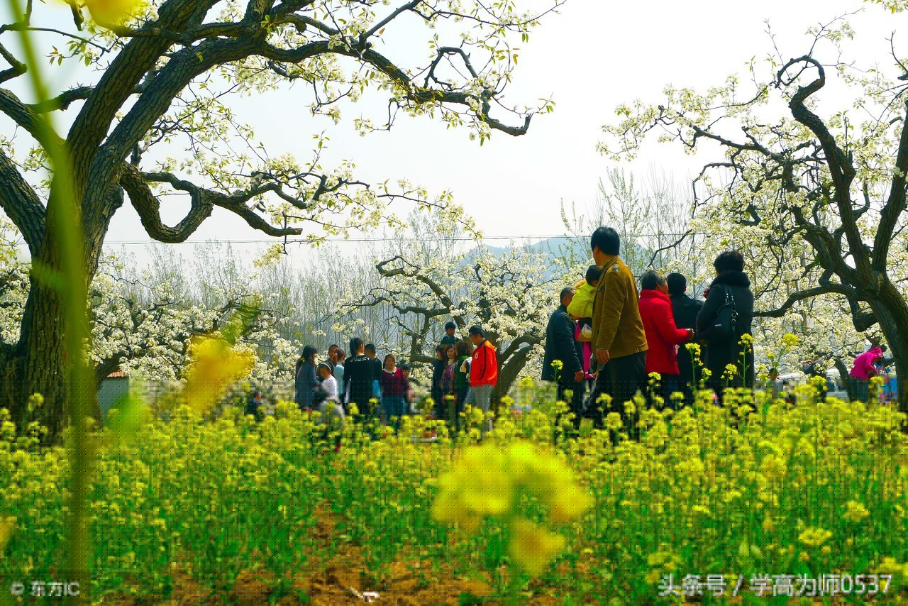 总结过去展望未来的诗句（展望未来的霸气诗句）