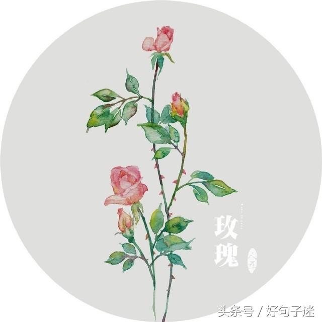内心独白经典句子（抒发内心情感的句子）