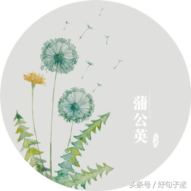 内心独白经典句子（抒发内心情感的句子）