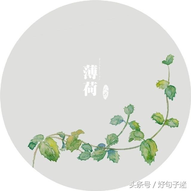 内心独白经典句子（抒发内心情感的句子）