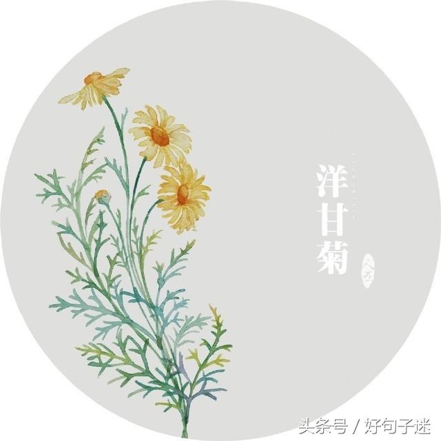 内心独白经典句子（抒发内心情感的句子）