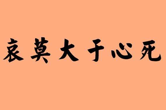 六个字的成语有哪些（有关六个字的成语大全集）