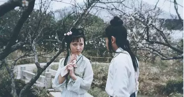 红楼梦经典诗词摘抄（红楼梦最好的20首诗）