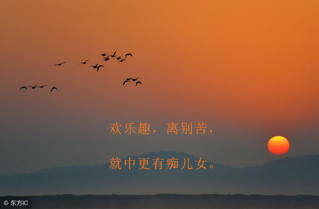 雁丘词元好问原文（雁丘词的原文翻译赏析）