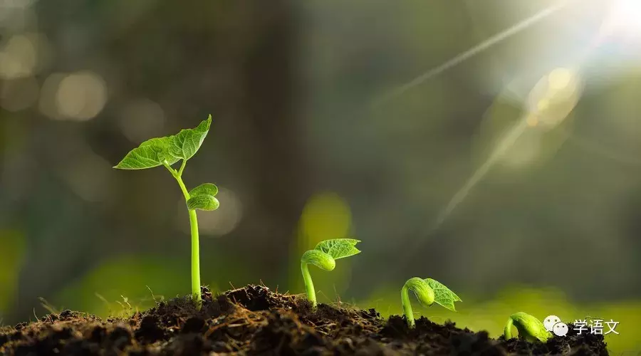 现当代诗歌精选（世界上最著名的现代诗）