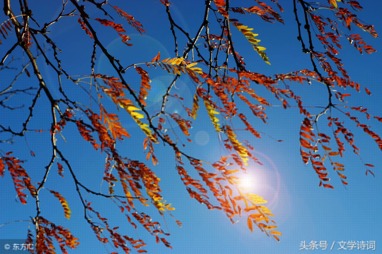 赠别杜牧古诗（赠别二首其二唐杜牧翻译）