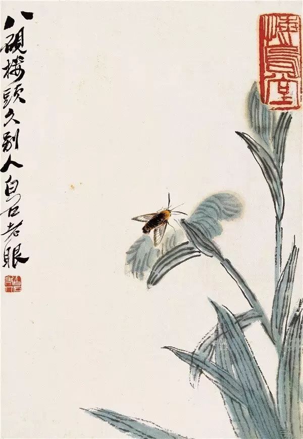 关于喝酒的诗句有哪些（经典饮酒诗句赏析）