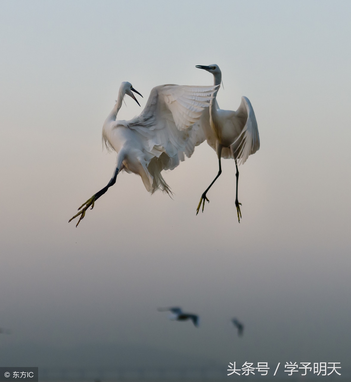 万马齐喑究可哀全诗（已亥杂诗全诗欣赏）