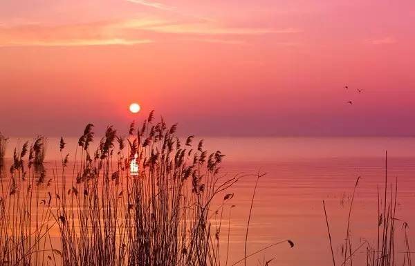 描写夕阳的诗句晚霞（形容夕阳很美的诗句）