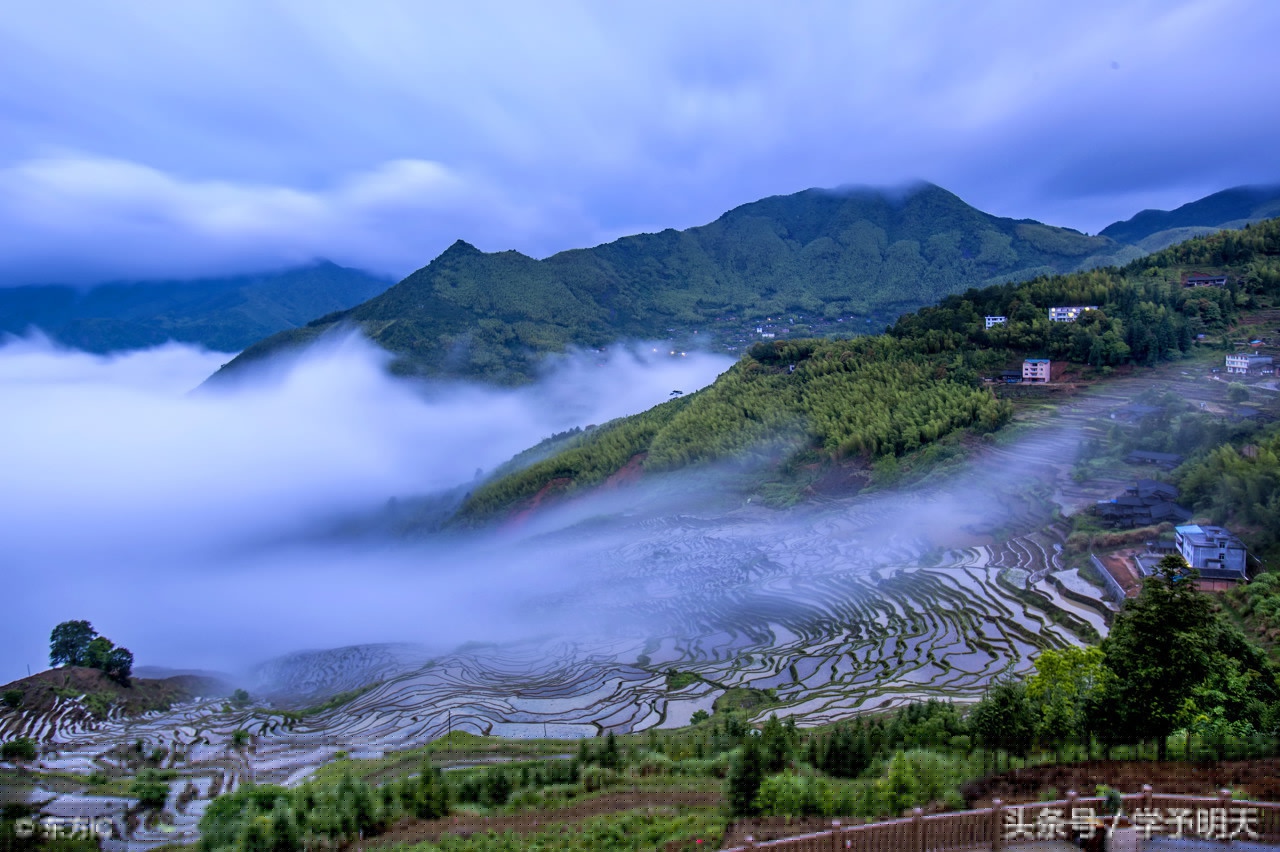 早发白帝城李白（早发白帝城古诗赏析）