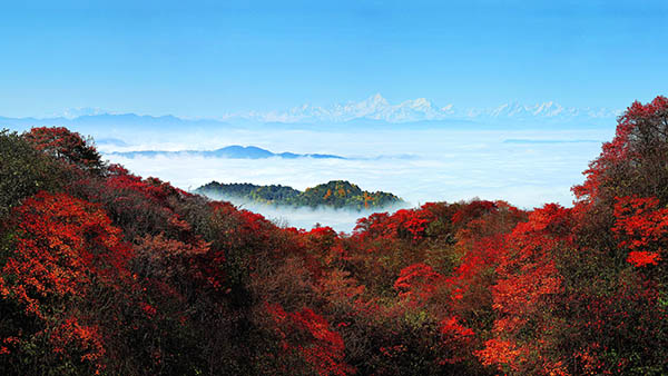峨眉山月半轮秋影入平羌江水流（峨眉山月半轮秋全诗赏析）