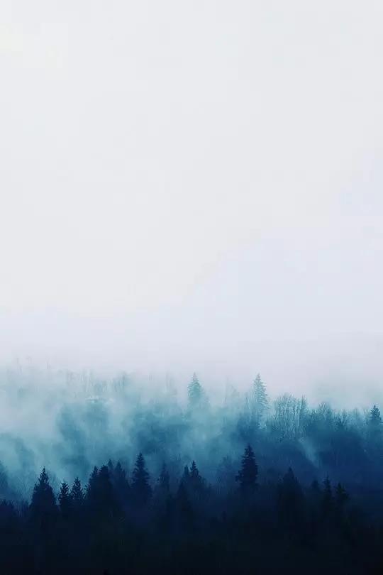 诗人王维有哪些诗（代表作诗歌鉴赏）