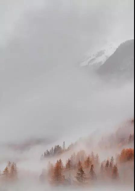 诗人王维有哪些诗（代表作诗歌鉴赏）