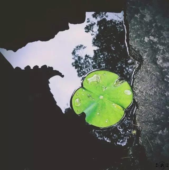 诗人王维有哪些诗（代表作诗歌鉴赏）