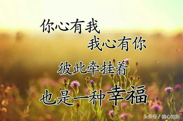 爱情藏头诗我永远爱你（很暖很撩人的句子）