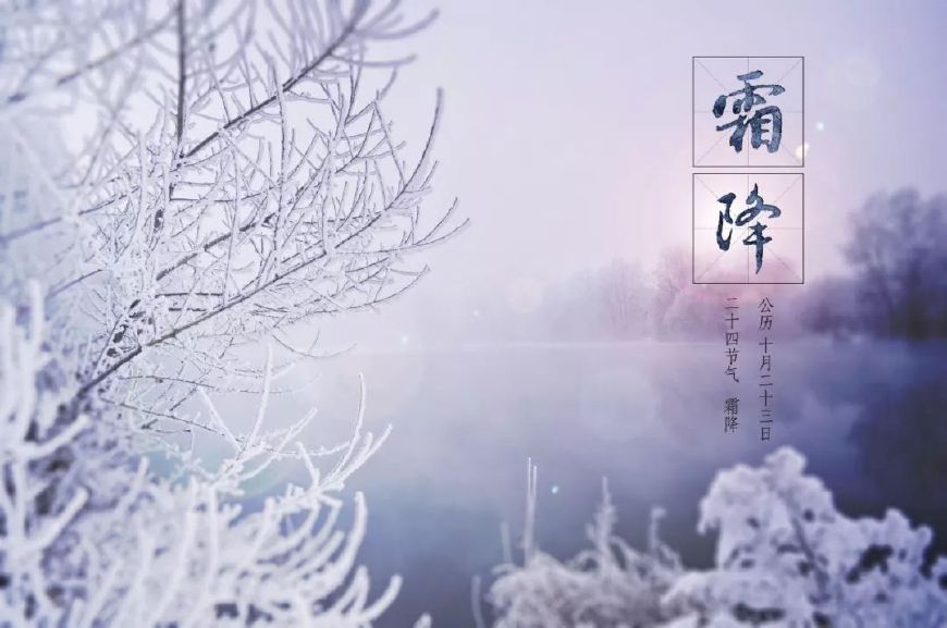 霜降古诗词赏析（赞美霜的诗句古诗鉴赏）