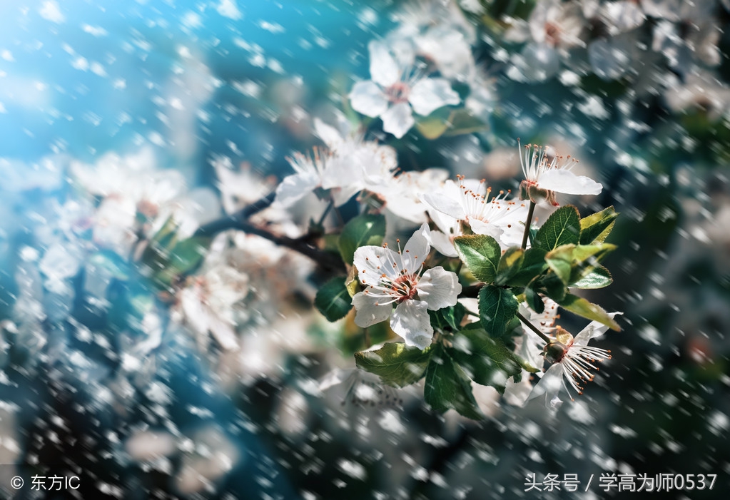 孔子的言论有哪些（孔子经典人生格言短句）