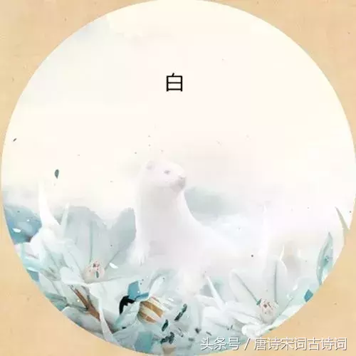 带有颜色的诗句有哪些（含颜色的古诗欣赏）