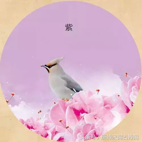 带有颜色的诗句有哪些（含颜色的古诗欣赏）