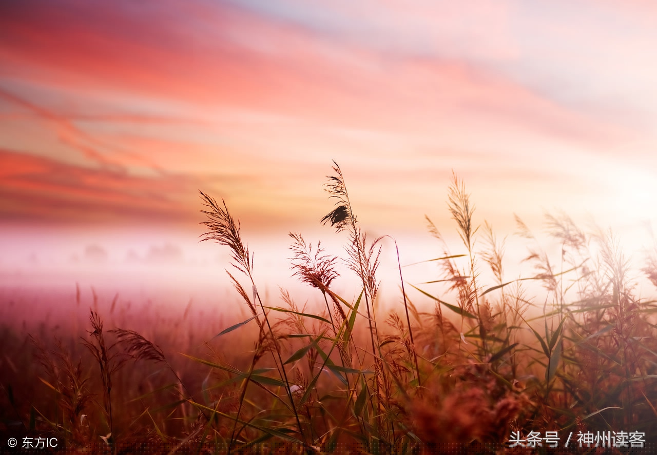 关于中国梦的诗歌有哪些（10首很短的红色爱国诗歌）