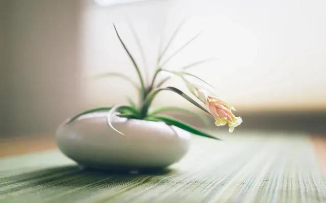 感谢语简短一句话（懂得感恩的正能量句子）