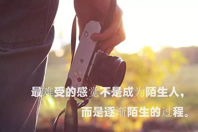 路过心上的句子伤感（人生路过的风景的句子）