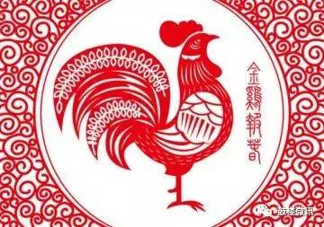 关于鸡的成语有哪些（关于鸡的成语寓意好）