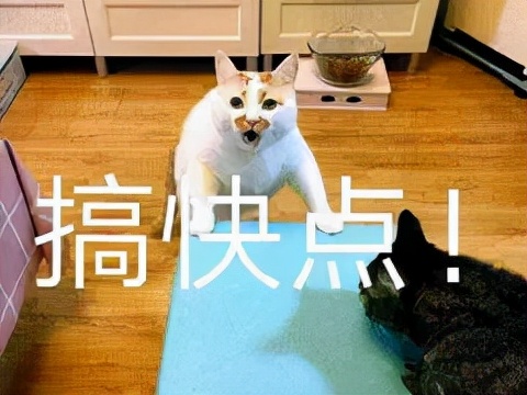 有内涵幽默生日祝福语（生日祝福语创意幽默）