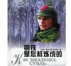 保尔柯察金的经典名言（钢铁是怎样炼成的名句摘抄）