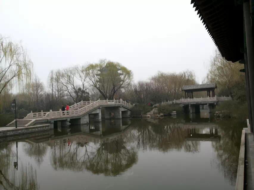 关于春的古诗全部（赞美春天的古诗欣赏）