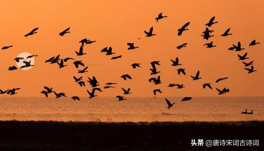 扑朔迷离的意思是什么（扑朔迷离的词语解释）