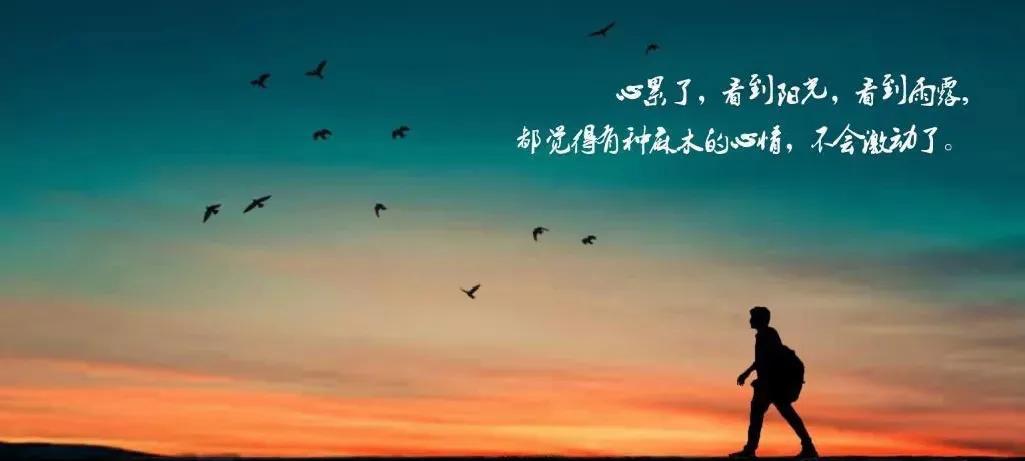 心累的句子说说心情（适合心情低落的句子）