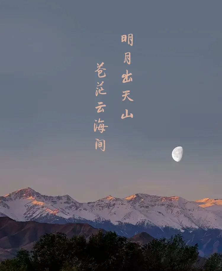 欲上青天揽明月全诗（欲上青天揽明月全诗赏析）